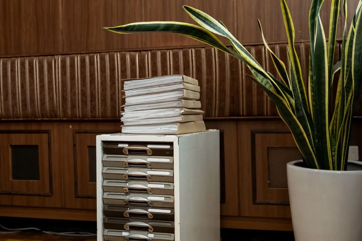 A stack of files on a plan chest beside a potted plant