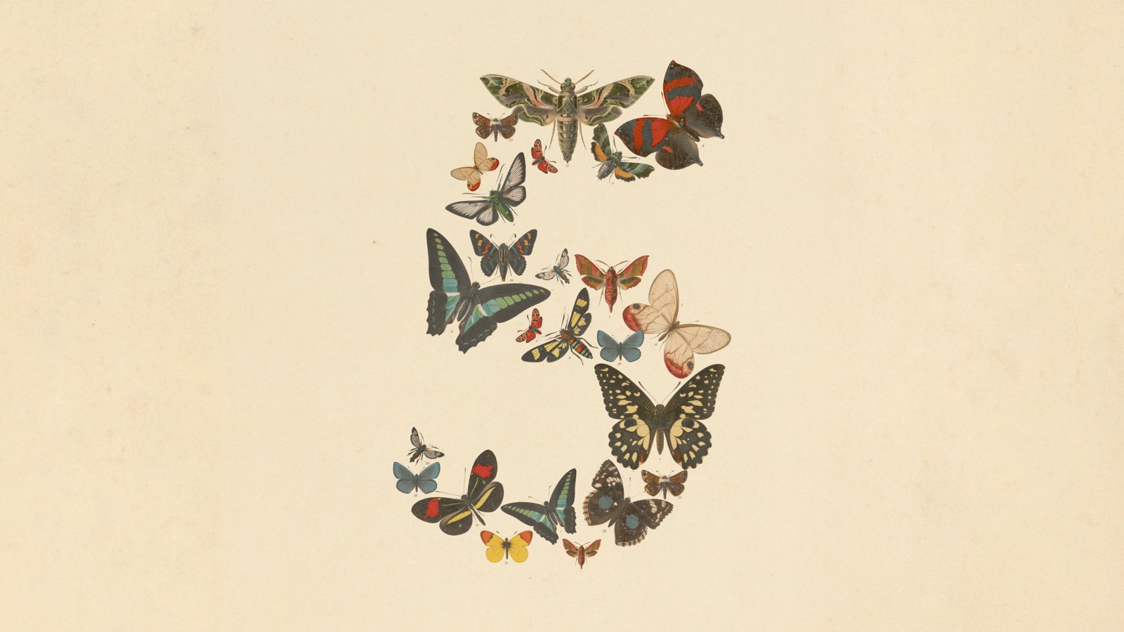 Anthropic's Fable 5 artwork, a number five formed from butterflies