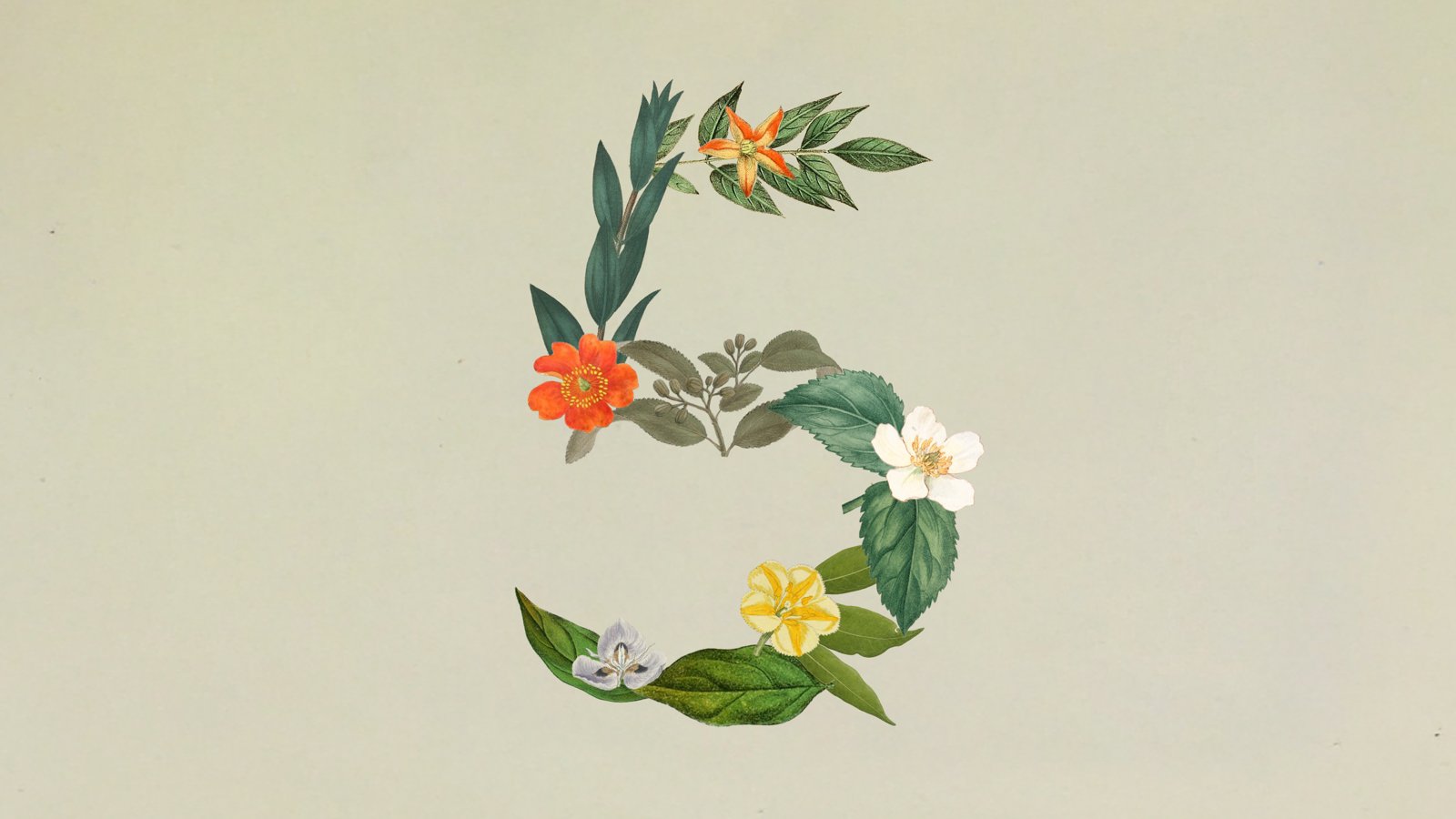 Anthropic's Sonnet 5 artwork, a number five formed from leaves and flowers